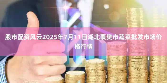 股市配资风云2025年7月11日湖北襄樊市蔬菜批发市场价格行情
