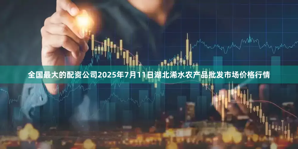 全国最大的配资公司2025年7月11日湖北浠水农产品批发市场价格行情